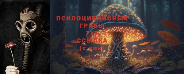 тгк Нефтегорск