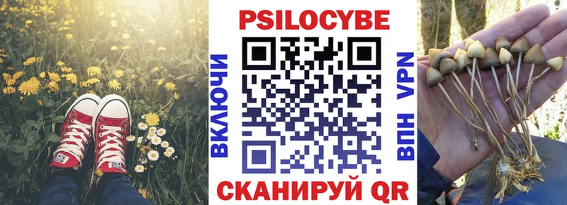 ссылка на мегу зеркало  Любим  Псилоцибиновые грибы MAGIC MUSHROOMS 
